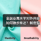 金融业高水平对外开放如何稳步推进?制度型转型与风险防控(图4) 金融业高水平对外开放如何稳步推进?制度型转型与风险防控(图4)