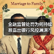 金融监管处罚为何持续暴露出银行风控漏洞?(图2) 金融监管处罚为何持续暴露出银行风控漏洞?(图2)
