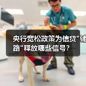 央行宽松政策为信贷 央行宽松政策为信贷
