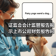 证监会会计监管报告揭示上市公司财务报告问题及改进方向(图3) 证监会会计监管报告揭示上市公司财务报告问题及改进方向(图3)