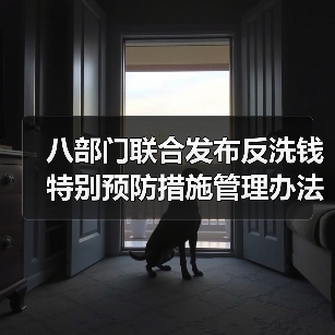 八部门联合发布反洗钱特别预防措施管理办法征求意见稿,公众如何参与?(图2) 八部门联合发布反洗钱特别预防措施管理办法征求意见稿,公众如何参与?(图2)