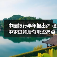 中国银行半年报出炉 稳中求进背后有哪些亮点?(图2) 中国银行半年报出炉 稳中求进背后有哪些亮点?(图2)