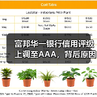 富邦华一银行信用评级上调至AAA，背后原因揭秘（图4）