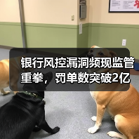 银行风控漏洞频现监管重拳,罚单数突破2亿背后真相(图3) 银行风控漏洞频现监管重拳,罚单数突破2亿背后真相(图3)