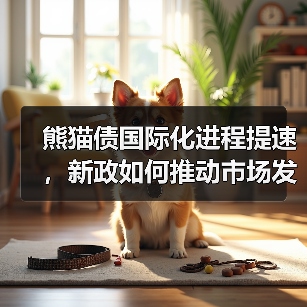 熊猫债国际化进程提速,新政如何推动市场发展?(图4) 熊猫债国际化进程提速,新政如何推动市场发展?(图4)