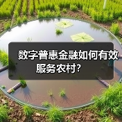 数字普惠金融如何有效服务农村?(图4) 数字普惠金融如何有效服务农村?(图4)