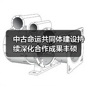 中古命运共同体建设持续深化合作成果丰硕(图4) 中古命运共同体建设持续深化合作成果丰硕(图4)
