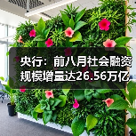 央行:前八月社会融资规模增量达26.56万亿,同比多增4.66万亿(图4) 央行:前八月社会融资规模增量达26.56万亿,同比多增4.66万亿(图4)