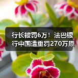 行长被罚6万!法巴银行中国遭重罚270万原因曝光(图2) 行长被罚6万!法巴银行中国遭重罚270万原因曝光(图2)