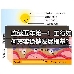 连续五年第一！工行如何夯实稳健发展根基？