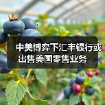 中美博弈下汇丰银行或出售美国零售业务(图2) 中美博弈下汇丰银行或出售美国零售业务(图2)