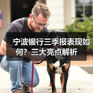 宁波银行三季报表现如何?三大亮点解析(图1) 宁波银行三季报表现如何?三大亮点解析(图1)