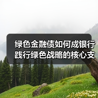 绿色金融债如何成银行践行绿色战略的核心支点?(图3) 绿色金融债如何成银行践行绿色战略的核心支点?(图3)