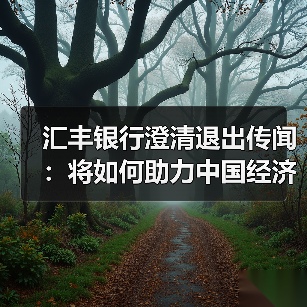 汇丰银行澄清退出传闻：将如何助力中国经济发展？（图4）