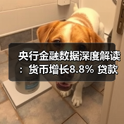 央行金融数据深度解读:货币增长8.8% 贷款存款变化全分析(图4) 央行金融数据深度解读:货币增长8.8% 贷款存款变化全分析(图4)