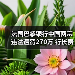 法国巴黎银行中国两宗违法遭罚270万 行长责任如何?(图3) 法国巴黎银行中国两宗违法遭罚270万 行长责任如何?(图3)