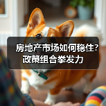 房地产市场如何稳住?政策组合拳发力(图3) 房地产市场如何稳住?政策组合拳发力(图3)