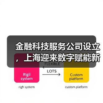 金融科技服务公司设立,上海迎来数字赋能新布局(图4) 金融科技服务公司设立,上海迎来数字赋能新布局(图4)