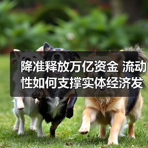降准释放万亿资金 流动性如何支撑实体经济发展?(图1) 降准释放万亿资金 流动性如何支撑实体经济发展?(图1)