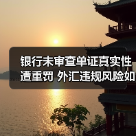 银行未审查单证真实性遭重罚 外汇违规风险如何防范(图2) 银行未审查单证真实性遭重罚 外汇违规风险如何防范(图2)