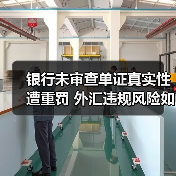 银行未审查单证真实性遭重罚 外汇违规风险如何防范(图3) 银行未审查单证真实性遭重罚 外汇违规风险如何防范(图3)
