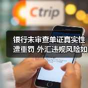 银行未审查单证真实性遭重罚 外汇违规风险如何防范(图4) 银行未审查单证真实性遭重罚 外汇违规风险如何防范(图4)