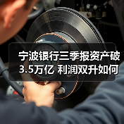 宁波银行三季报资产破3.5万亿 利润双升如何做到？（图3）