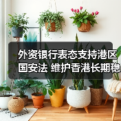 外资银行表态支持港区国安法 维护香港长期稳定（图4）