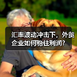汇率波动冲击下，外贸企业如何稳住利润？（图2）