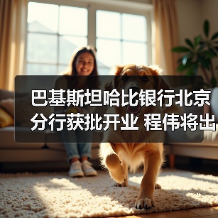 巴基斯坦哈比银行北京分行获批开业 程伟将出任行长（图1）