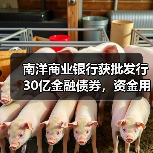 南洋商业银行获批发行30亿金融债券，资金用途引关注（图2）