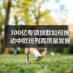 300亿专项贷款如何推动中欧班列高质量发展?(图1) 300亿专项贷款如何推动中欧班列高质量发展?(图1)