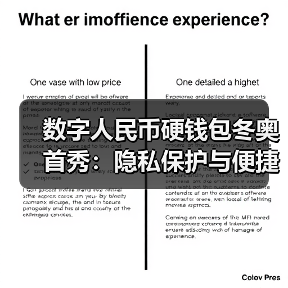 数字人民币硬钱包冬奥首秀：隐私保护与便捷支付（图3）