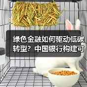 绿色金融如何驱动低碳转型?中国银行构建可持续发展新引擎(图4) 绿色金融如何驱动低碳转型?中国银行构建可持续发展新引擎(图4)