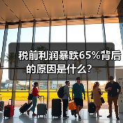 税前利润暴跌65%背后的原因是什么?(图4) 税前利润暴跌65%背后的原因是什么?(图4)