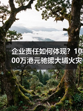 企业责任如何体现?1000万港元驰援大埔火灾彰显社会担当(图3) 企业责任如何体现?1000万港元驰援大埔火灾彰显社会担当(图3)