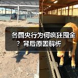 各国央行为何疯狂囤金?背后原因解析(图1) 各国央行为何疯狂囤金?背后原因解析(图1)