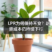 LPR为何保持不变？融资成本仍持续下行（图3）