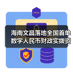 海南文昌落地全国首单数字人民币财政实拨资金业务（图3）