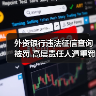 外资银行违法征信查询被罚 高层责任人遭重罚(图4) 外资银行违法征信查询被罚 高层责任人遭重罚(图4)