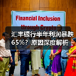 汇丰银行半年利润暴跌65%?原因深度解析(图3) 汇丰银行半年利润暴跌65%?原因深度解析(图3)