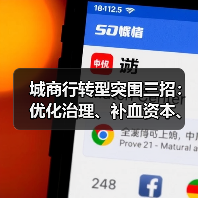 城商行转型突围三招:优化治理、补血资本、打造特色业务(图2) 城商行转型突围三招:优化治理、补血资本、打造特色业务(图2)