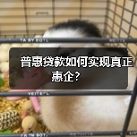 普惠贷款如何实现真正惠企？（图4）