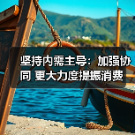 坚持内需主导：加强协同 更大力度提振消费