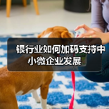 银行业如何加码支持中小微企业发展（图2）