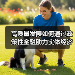 高质量发展如何通过政策性金融助力实体经济?(图4) 高质量发展如何通过政策性金融助力实体经济?(图4)