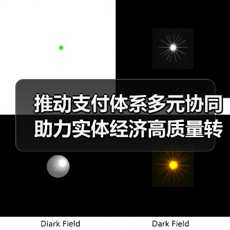 推动支付体系多元协同 助力实体经济高质量转型(图4) 推动支付体系多元协同 助力实体经济高质量转型(图4)