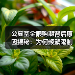 公募基金限购潮背后原因揭秘:为何频繁限制申购?(图3) 公募基金限购潮背后原因揭秘:为何频繁限制申购?(图3)