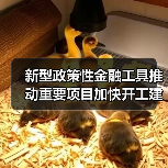 新型政策性金融工具推动重要项目加快开工建设(图1) 新型政策性金融工具推动重要项目加快开工建设(图1)