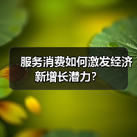 服务消费如何激发经济新增长潜力?(图3) 服务消费如何激发经济新增长潜力?(图3)